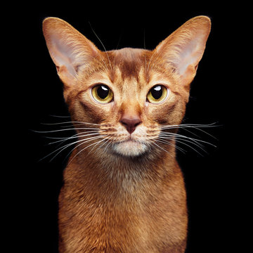 Rudi H.